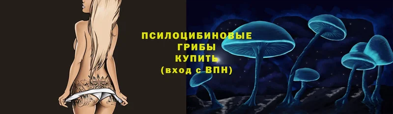 Галлюциногенные грибы Cubensis  блэк спрут как зайти  Камызяк  где купить наркоту 